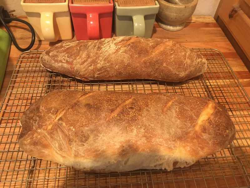 Chewy Sourdough Italian Bread